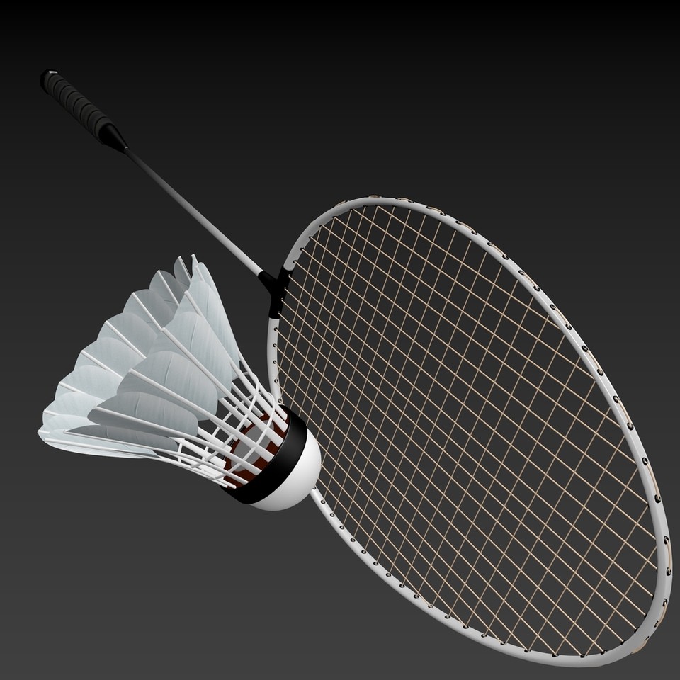 Racket And Shuttlecock preview image 1